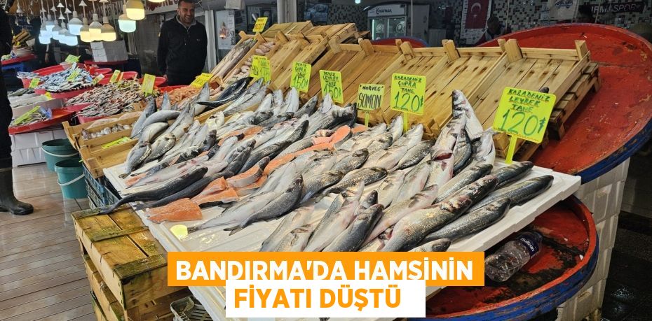 Bandırma'da hamsinin fiyatı düştü  