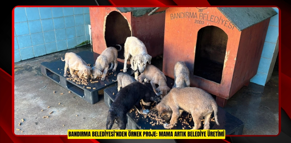 BANDIRMA BELEDİYESİ’NDEN ÖRNEK PROJE: MAMA ARTIK BELEDİYE ÜRETİMİ