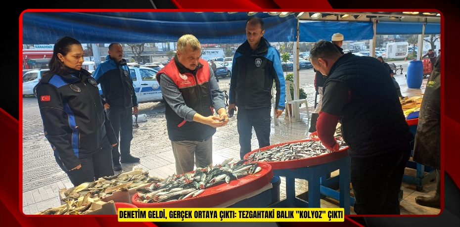 Denetim geldi, gerçek ortaya çıktı: Tezgahtaki balık "kolyoz" çıktı
