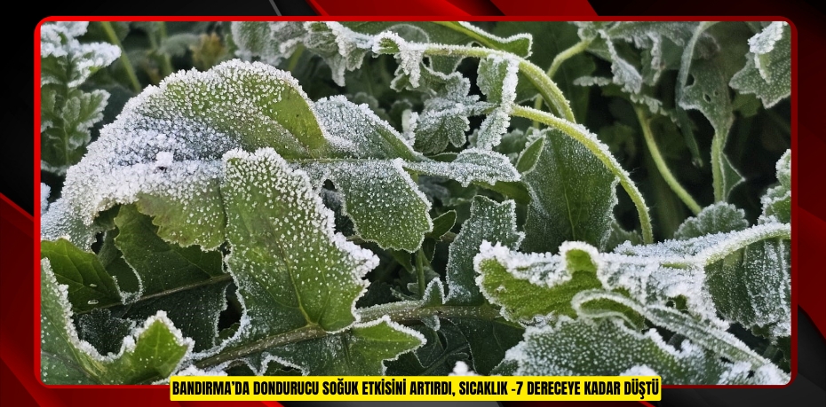 Bandırma’da dondurucu soğuk etkisini artırdı, sıcaklık -7 dereceye kadar düştü
