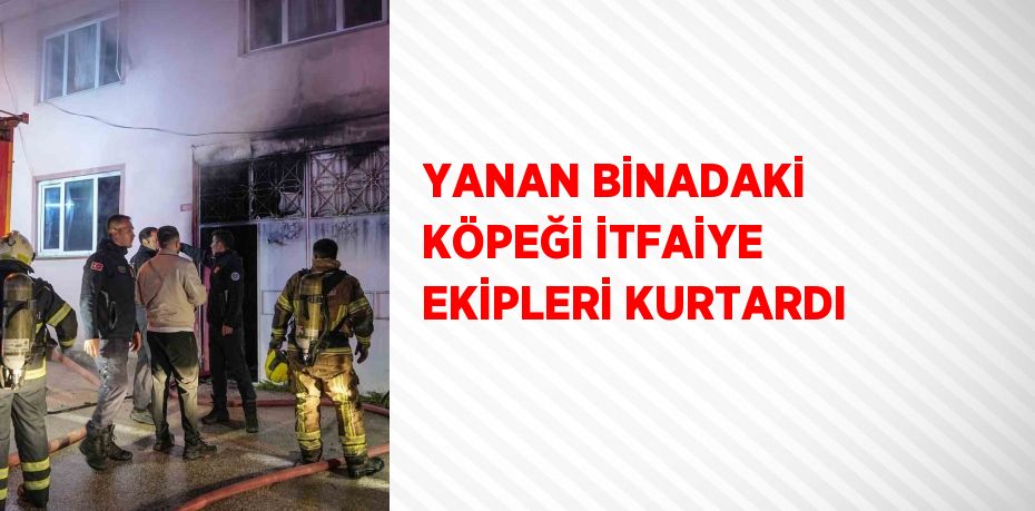 YANAN BİNADAKİ KÖPEĞİ İTFAİYE EKİPLERİ KURTARDI