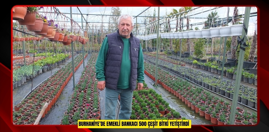 Burhaniye’de emekli bankacı 500 çeşit bitki yetiştirdi