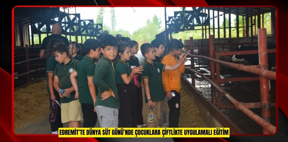 Edremit’te Dünya Süt Günü’nde çocuklara çiftlikte uygulamalı eğitim