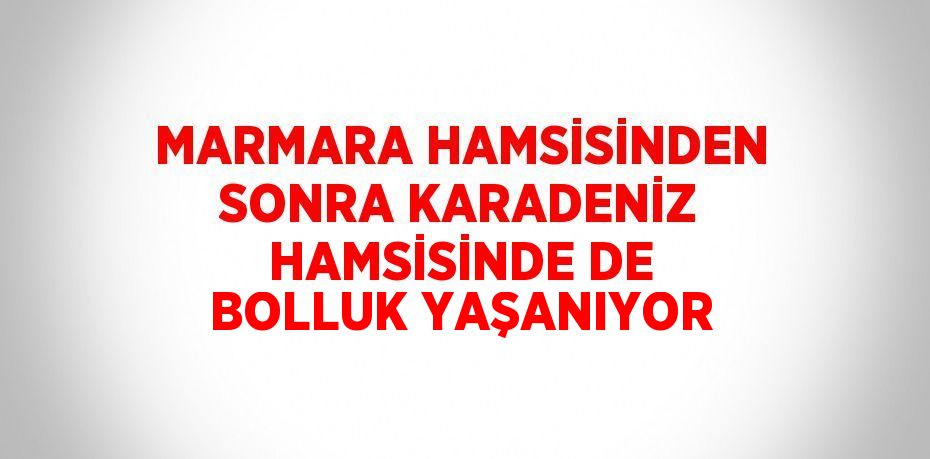 MARMARA HAMSİSİNDEN SONRA KARADENİZ HAMSİSİNDE DE BOLLUK YAŞANIYOR