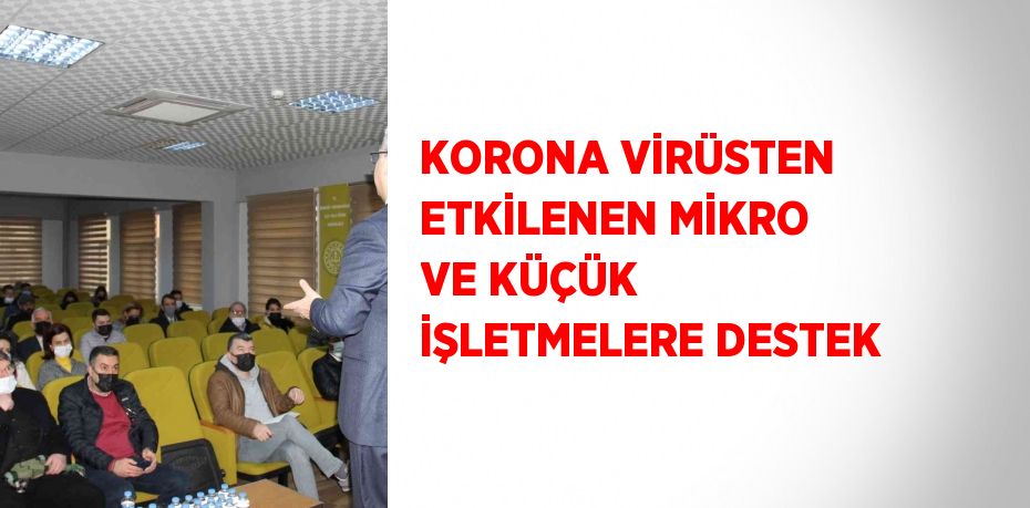 KORONA VİRÜSTEN ETKİLENEN MİKRO VE KÜÇÜK İŞLETMELERE DESTEK