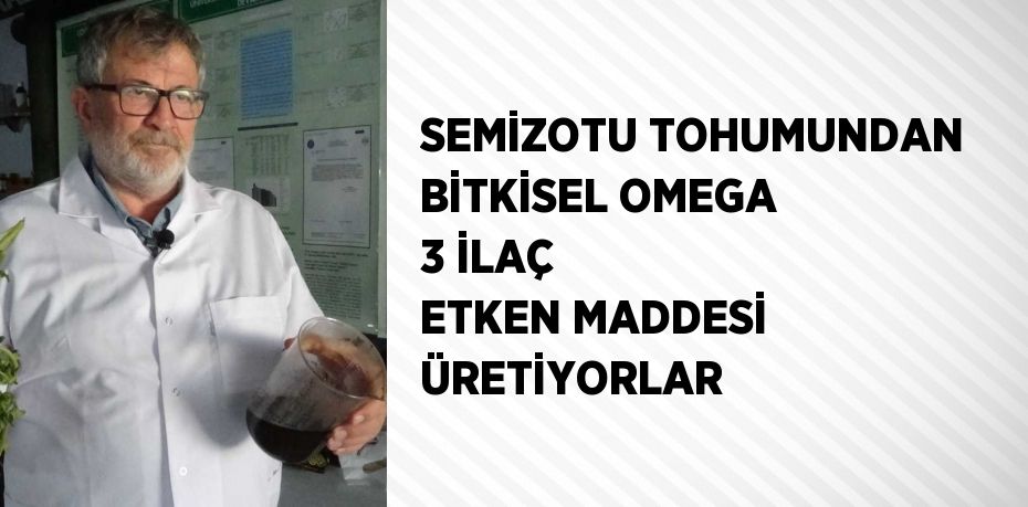 SEMİZOTU TOHUMUNDAN BİTKİSEL OMEGA 3 İLAÇ ETKEN MADDESİ ÜRETİYORLAR