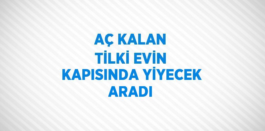 AÇ KALAN TİLKİ EVİN KAPISINDA YİYECEK ARADI