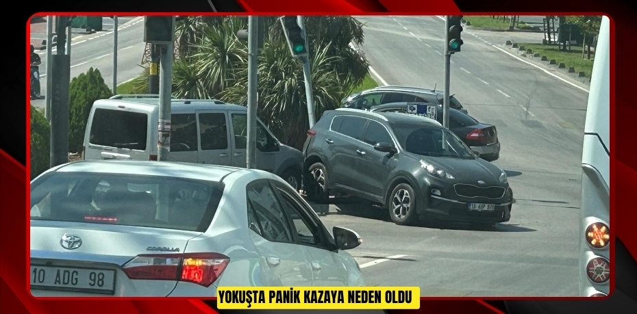 Yokuşta panik kazaya neden oldu