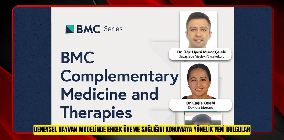 DENEYSEL HAYVAN MODELİNDE ERKEK ÜREME SAĞLIĞINI KORUMAYA YÖNELİK YENİ BULGULAR