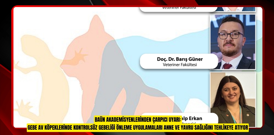 BAÜN AKADEMİSYENLERİNDEN ÇARPICI UYARI: GEBE AV KÖPEKLERİNDE KONTROLSÜZ GEBELİĞİ ÖNLEME UYGULAMALARI ANNE VE YAVRU SAĞLIĞINI TEHLİKEYE ATIYOR
