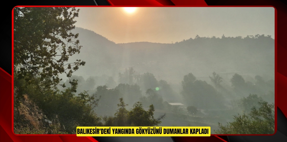 Balıkesir'deki yangında gökyüzünü dumanlar kapladı