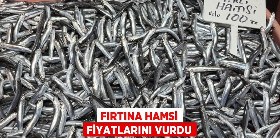 FIRTINA HAMSİ FİYATLARINI VURDU