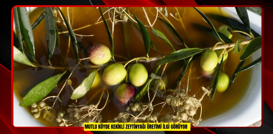 Mutlu köyde kekikli zeytinyağı üretimi ilgi görüyor