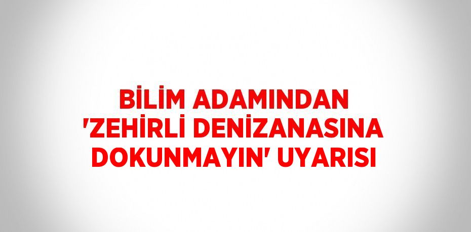 BİLİM ADAMINDAN 'ZEHİRLİ DENİZANASINA DOKUNMAYIN' UYARISI