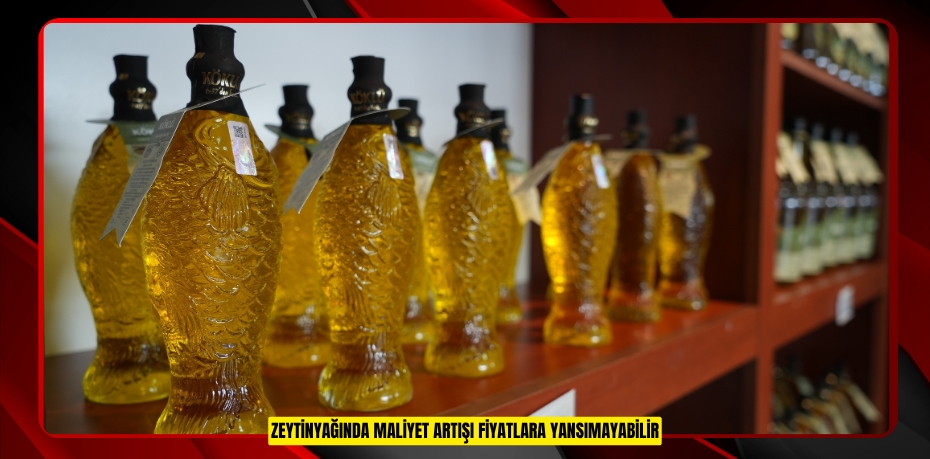 Zeytinyağında maliyet artışı fiyatlara yansımayabilir