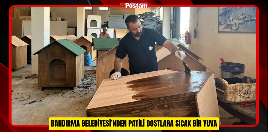 BANDIRMA BELEDİYESİ’NDEN PATİLİ DOSTLARA SICAK BİR YUVA