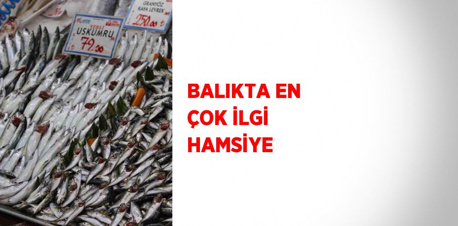 BALIKTA EN ÇOK İLGİ HAMSİYE