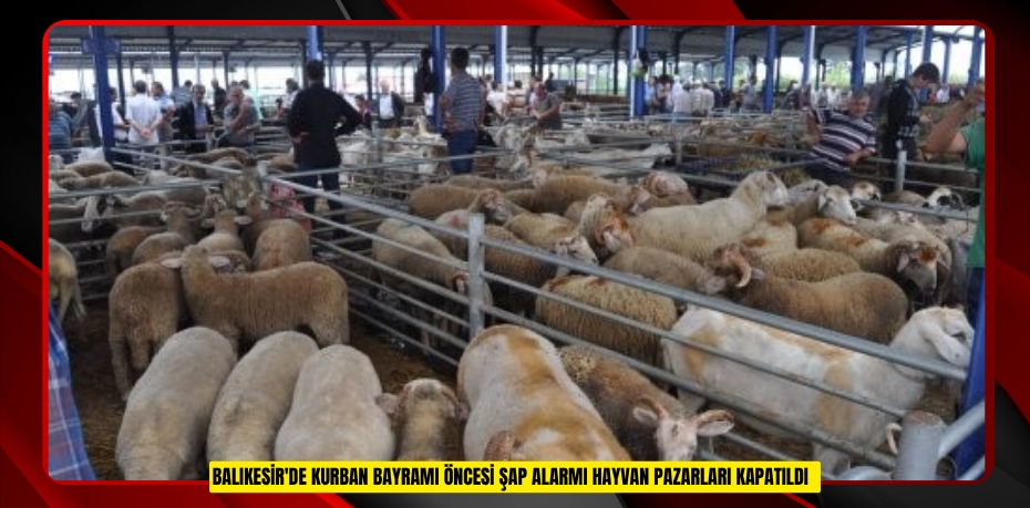 Balıkesir'de Kurban Bayramı öncesi şap alarmı: Hayvan pazarları kapatıldı