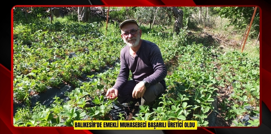 Balıkesir'de emekli muhasebeci başarılı üretici oldu