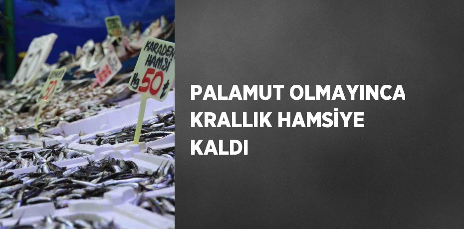 PALAMUT OLMAYINCA KRALLIK HAMSİYE KALDI