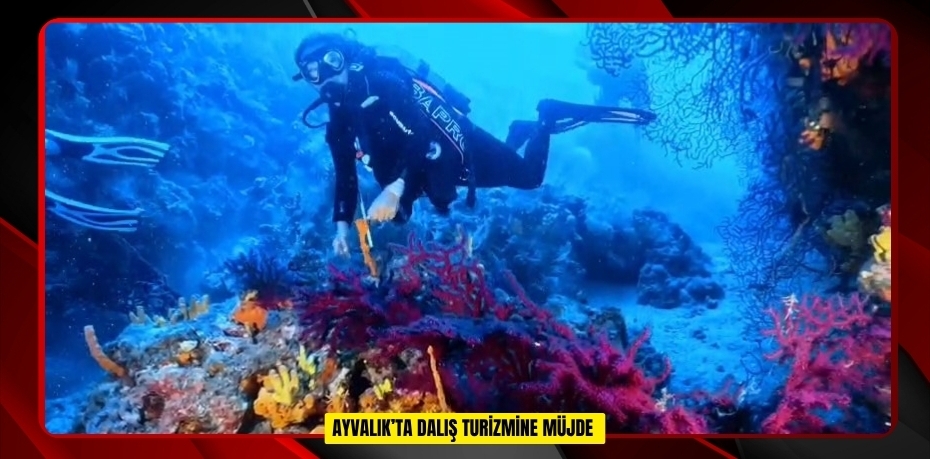 Ayvalık’ta dalış turizmine müjde