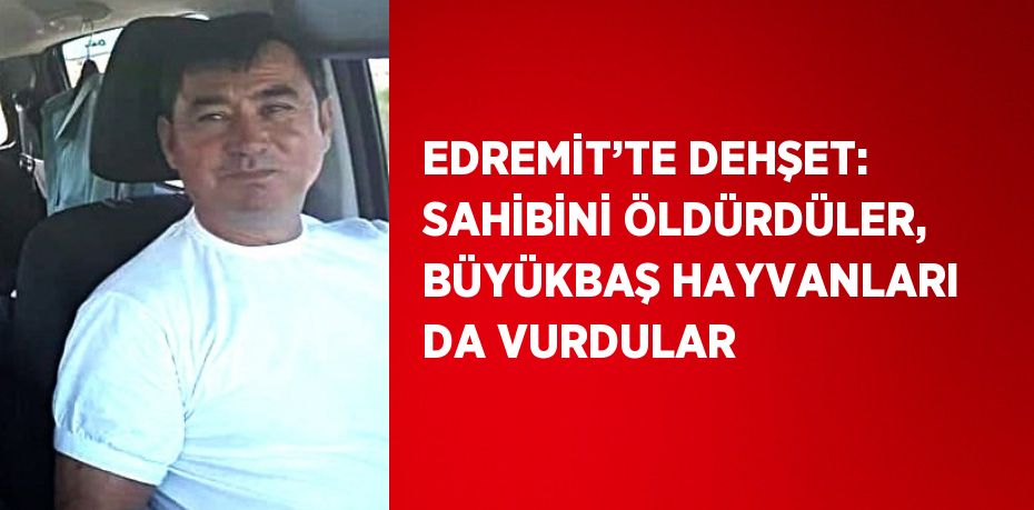 EDREMİT’TE DEHŞET: SAHİBİNİ ÖLDÜRDÜLER, BÜYÜKBAŞ HAYVANLARI DA VURDULAR