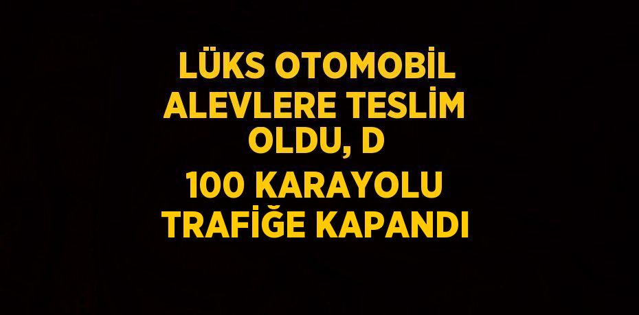 LÜKS OTOMOBİL ALEVLERE TESLİM OLDU, D 100 KARAYOLU TRAFİĞE KAPANDI