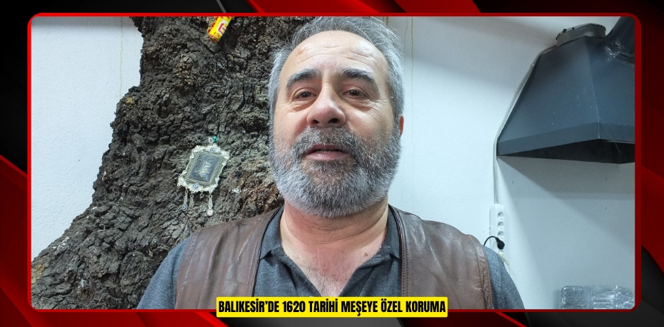 Balıkesir’de 1620 tarihi meşeye özel koruma