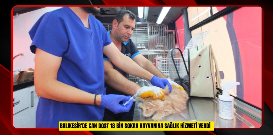 Balıkesir'de Can Dost 18 bin sokak hayvanına sağlık hizmeti verdi