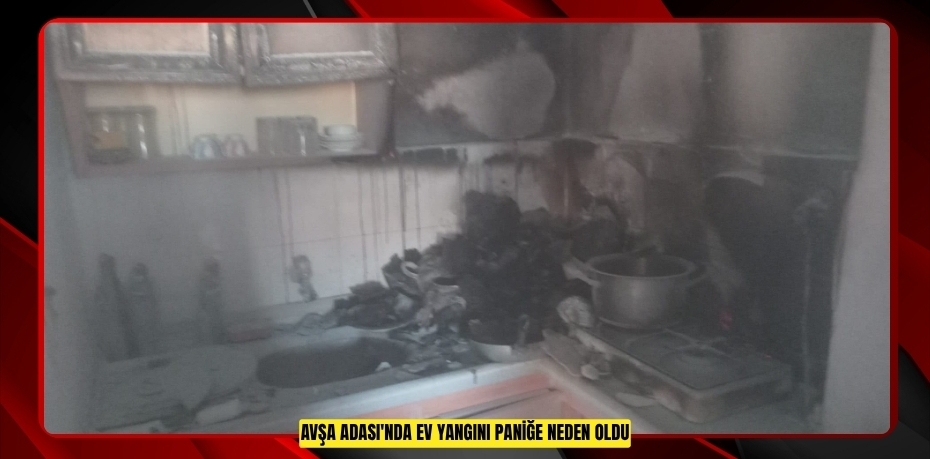 Avşa Adası'nda ev yangını paniğe neden oldu