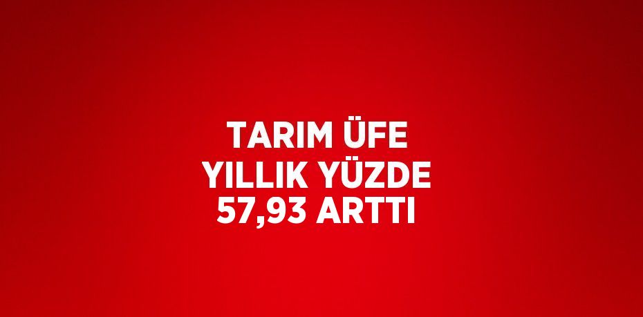 TARIM ÜFE YILLIK YÜZDE 57,93 ARTTI