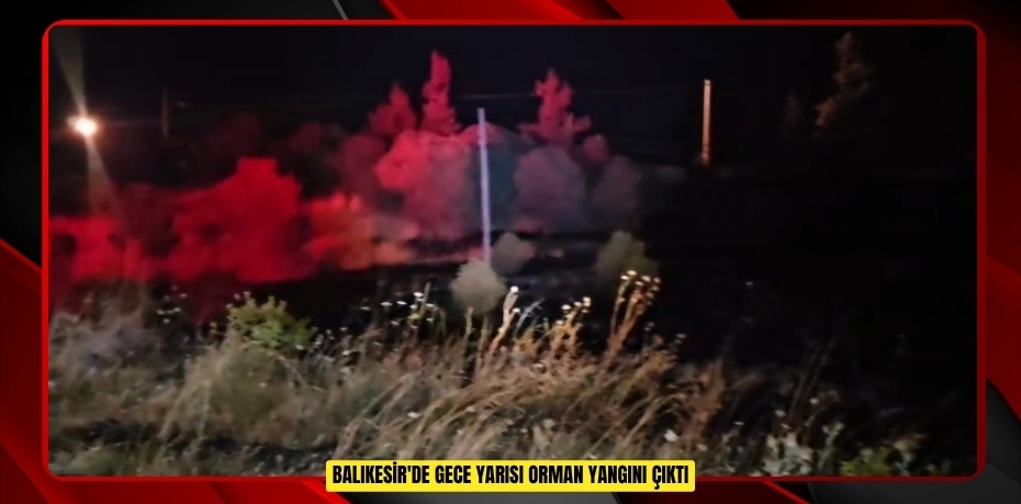 Balıkesir'de gece yarısı orman yangını çıktı