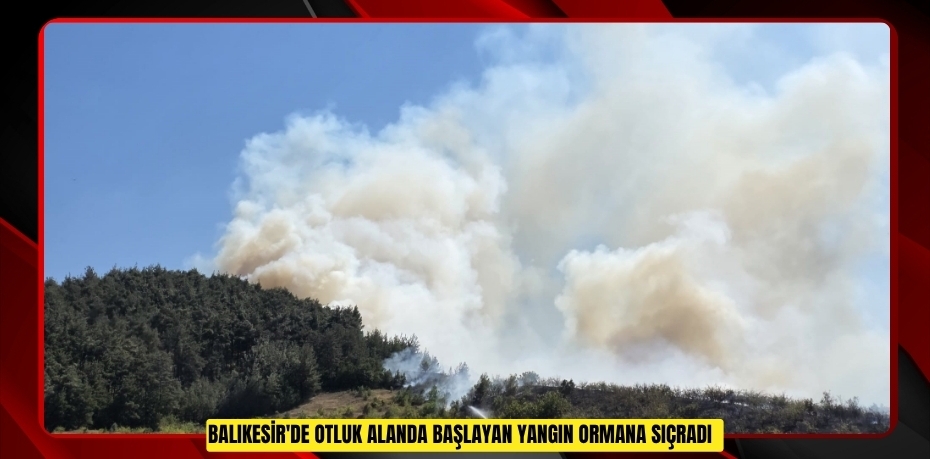 Balıkesir'de otluk alanda başlayan yangın ormana sıçradı