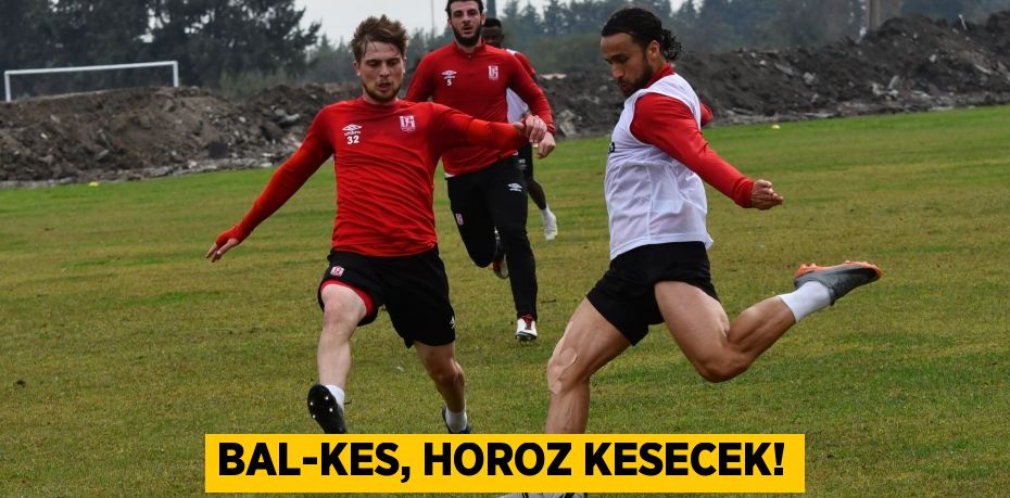 BAL-KES, HOROZ KESECEK!