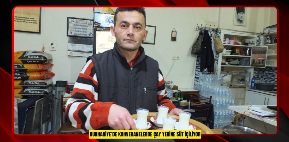 Burhaniye’de kahvehanelerde çay yerine süt içiliyor