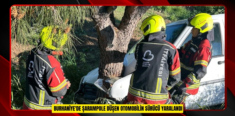 Gönen'de 6 metrelik kuyuya düşen koyun operasyonla kurtarıldı  