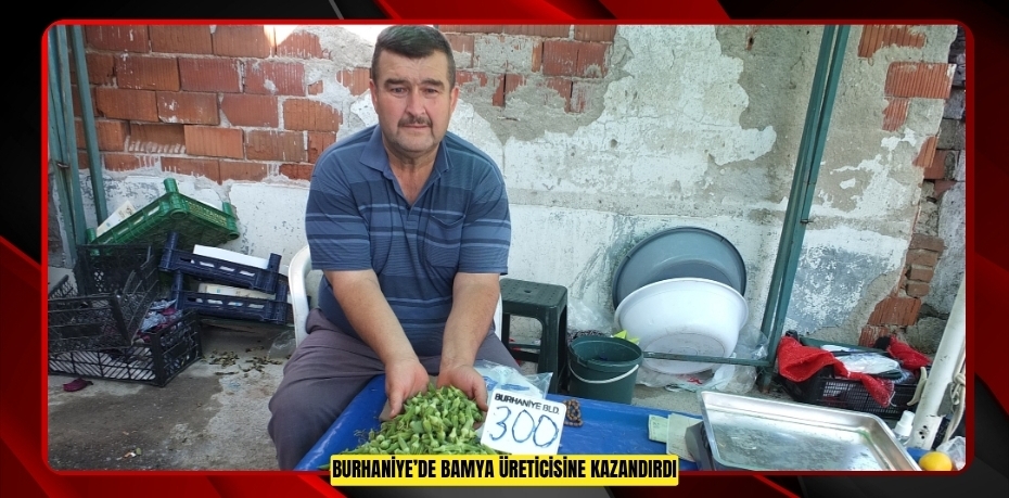 Burhaniye’de bamya üreticisine kazandırdı