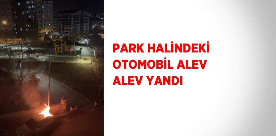 PARK HALİNDEKİ OTOMOBİL ALEV ALEV YANDI
