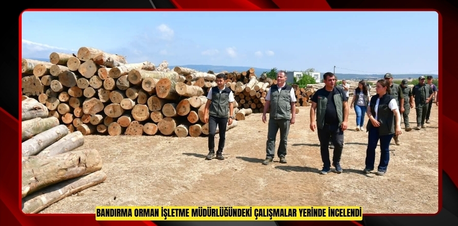 Bandırma Orman İşletme Müdürlüğündeki çalışmalar yerinde incelendi