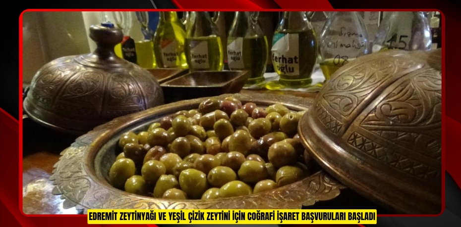 Edremit zeytinyağı ve yeşil çizik zeytini için coğrafi işaret başvuruları başladı