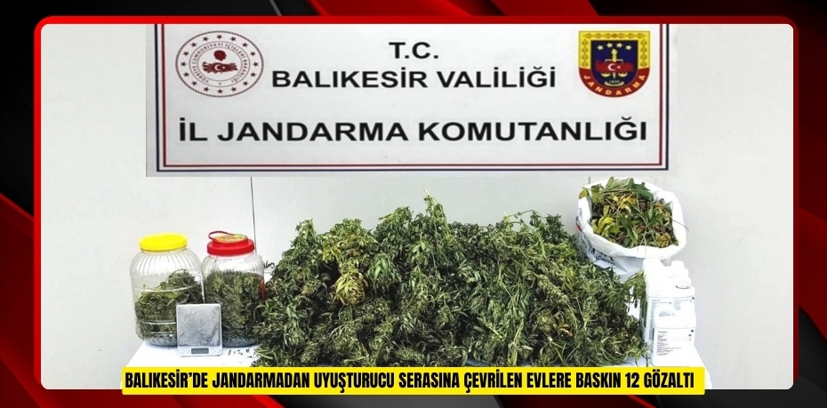 Balıkesir’de jandarmadan uyuşturucu serasına çevrilen evlere baskın: 12 gözaltı