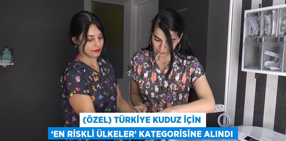 (ÖZEL) TÜRKİYE KUDUZ İÇİN ‘EN RİSKLİ ÜLKELER’ KATEGORİSİNE ALINDI