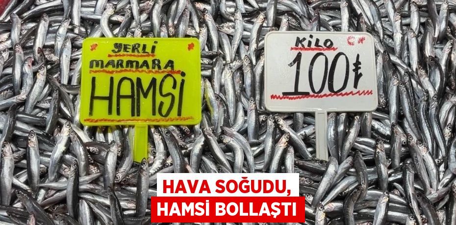 Hava soğudu, hamsi bollaştı