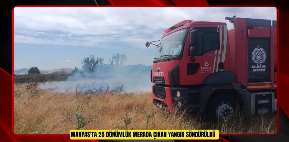 Manyas'ta 25 dönümlük merada çıkan yangın söndürüldü