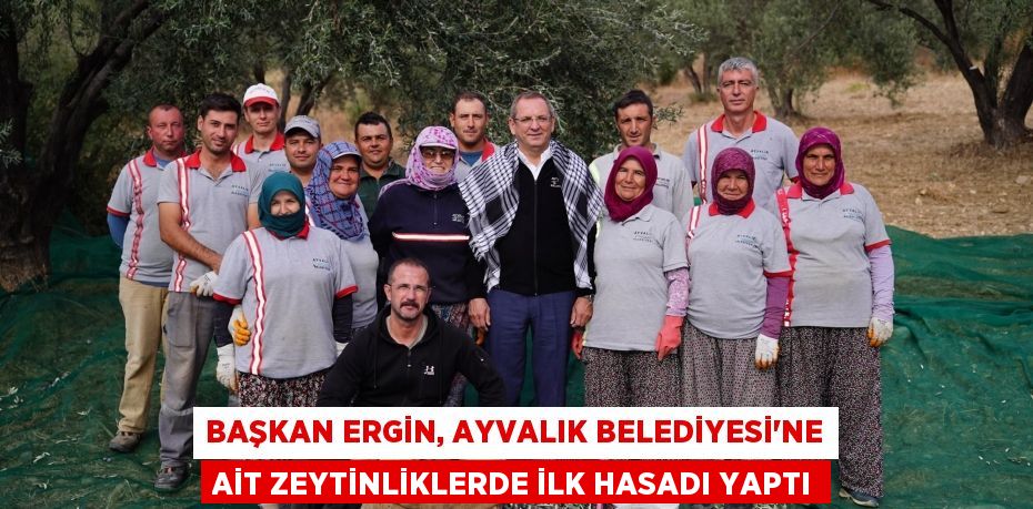 Başkan Ergin, Ayvalık Belediyesi’ne ait zeytinliklerde ilk hasadı yaptı