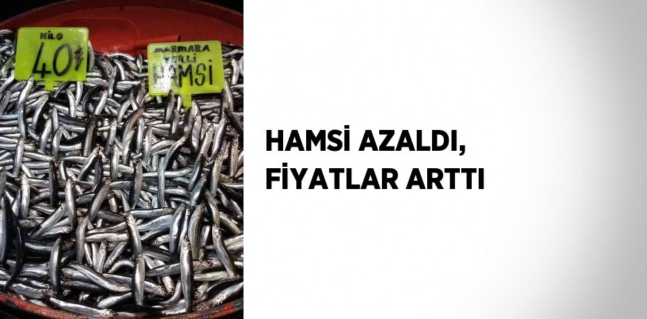 HAMSİ AZALDI, FİYATLAR ARTTI
