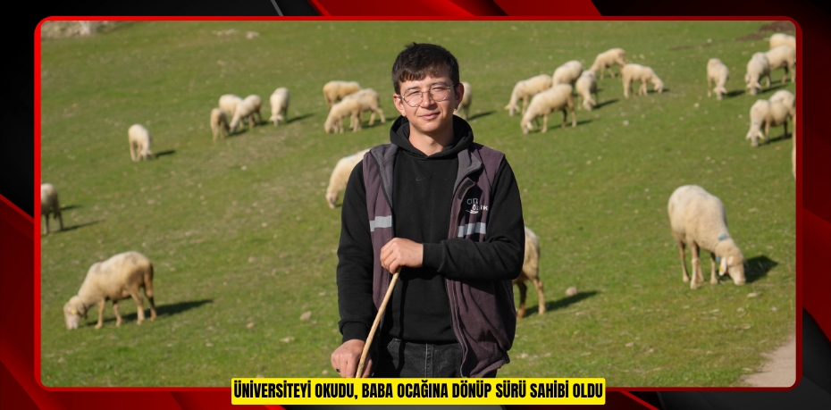 Üniversiteyi okudu, baba ocağına dönüp sürü sahibi oldu