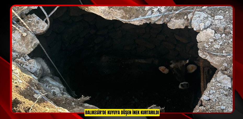 Balıkesir'de kuyuya düşen inek kurtarıldı