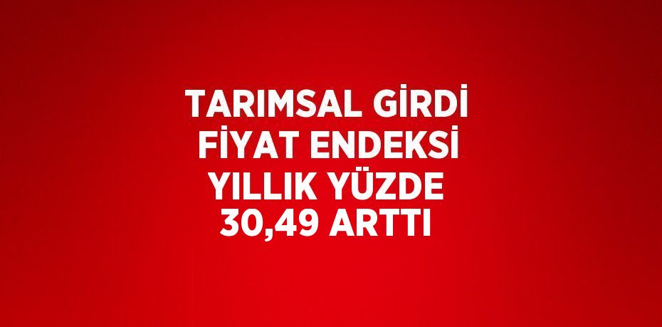 TARIMSAL GİRDİ FİYAT ENDEKSİ YILLIK YÜZDE 30,49 ARTTI