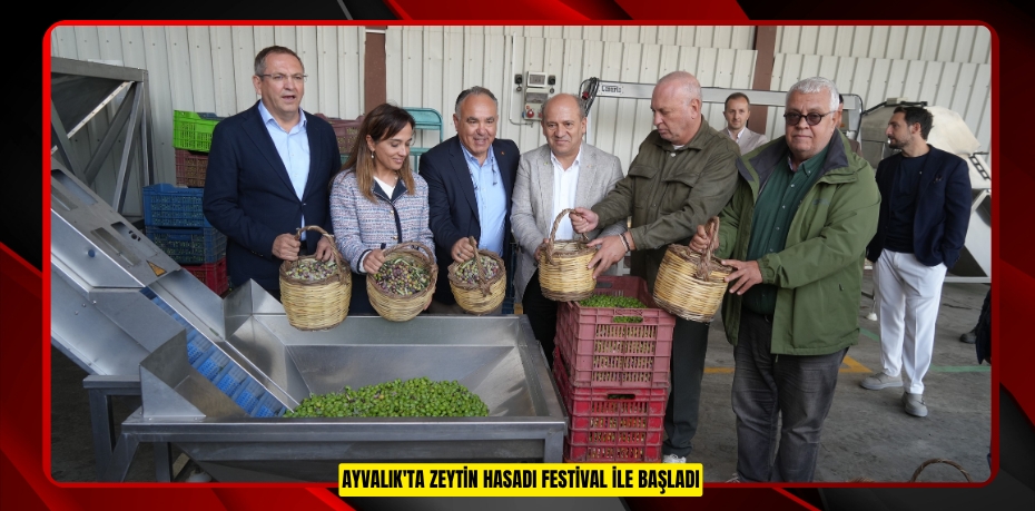 Ayvalık'ta zeytin hasadı festival ile başladı